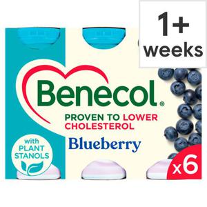 Benecol Blueberry Yogurt Drink 6X67.5G