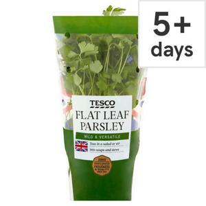 Tesco Medium Pot Flat Leaf Parsley