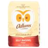Odlums Self Raising Flour (2 kg)