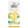 Forest Feast Snack Sized Dried Pineapple (80 g)