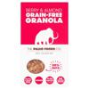 Paleo Foods Grain Free Berry & Almond Granola (285 g)