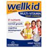 Vitabiotics Wellkid Chewable Tabs (30 Piece)