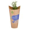 SuperValu Growing Rosemary (1 Piece)