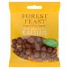 Forest Feast Milk Chocolate Raisins Bag (65 g)