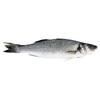 SuperValu Whole Sea Bass Fish
