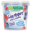 Irish Yogurts Blueberry & Raspberry Live Yogurt (350 g)