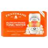 Fentimans Cans Valencian Orange 6 Pack Cans (150 ml)