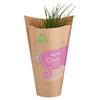 SuperValu Growing Chives (1 Piece)