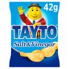 Tayto Salt & Vinegar Crisps (42 g)