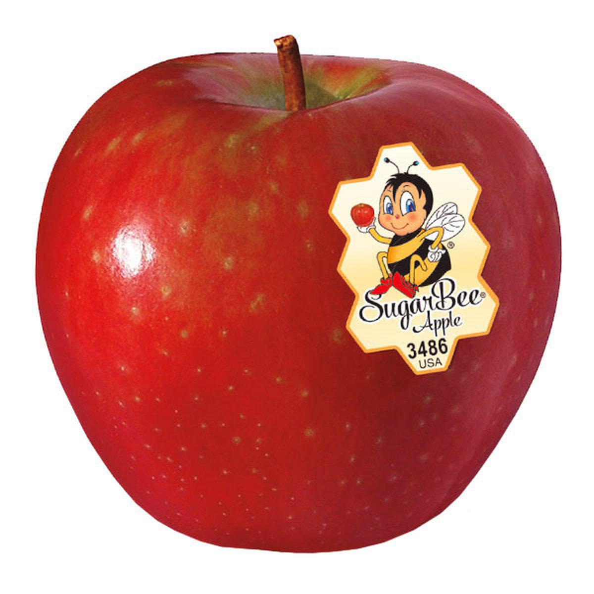 Review - SugarBee Sugar Bee Apples