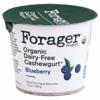 Forager Project Cashewmilk Yogurt, Organic, Dairy-Free, Blueberry