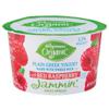 Wegmans Organic Plain Greek Yogurt Made with Whole Milk with Red Raspberry Jammin' Fruit Spread
