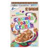 Cinnamon Toast Crunch Cereal, Sweetened Whole Wheat & Rice, Crispy