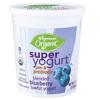 Wegmans Organic Super Yogurt Lowfat Blended, Blueberry