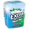 Extra Refreshers Refreshers Mint Mix Gum Piece Bottle