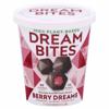 Dream Bites Chocolate-Covered Frozen Dessert, Berry Dreams