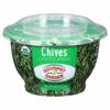 Gourmet Garden Lightly Dried Organic Chives