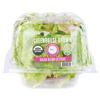 fresh2O Organic Lettuce, Salad Blend, Hydroponic