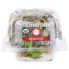 fresh2O Organic Lettuce, Red Leaf, Hydroponic
