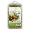 Springwater Sprouts Alfalfa Sprouts, Organic