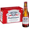 BUDWEISER Beer  18/12 oz Bottles