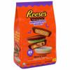Reese's Peanut Butter Cups, Candy Assortment, Snack Size