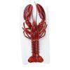 Wegmans Live Lobster, 2-4 lbs.