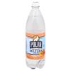 Polar Seltzer, 100% Natural, Georgia Peach