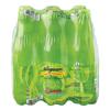 Wegmans Sparkling Water Lime, 6 pack