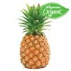 Wegmans Organic Pineapple