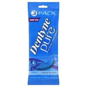 Dentyne Pure Gum, Sugar Free, Mint with Herbal Accents