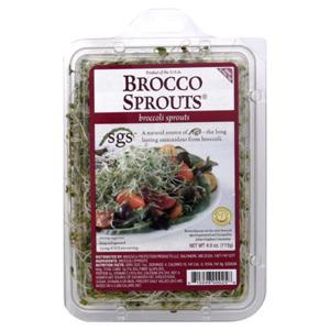 Brocco Sprouts Broccoli Sprouts