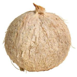 Melissa's Coconut, Quick Crack