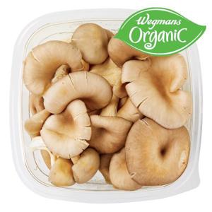 Leep Foods Organic Blue Oyster Mushrooms