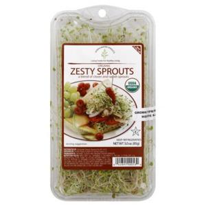 Springwater Sprouts Zesty Sprouts, Organic