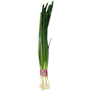 Wegmans Organic Green Onions