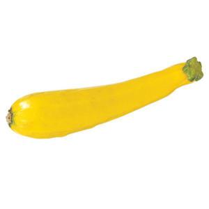 Wegmans Organic Yellow Squash