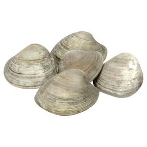 Wegmans Cherrystone Clams