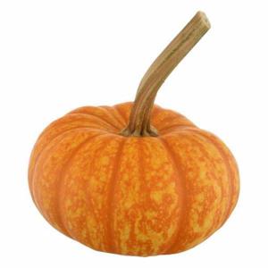 Bay Baby Produce Pumpkin, Sparkler