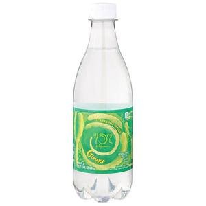 Wegmans Sparkling Water, Ginger