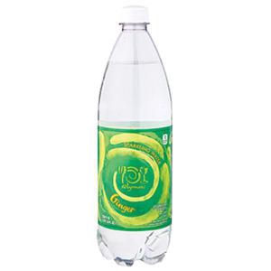 Wegmans Sparkling Water Ginger