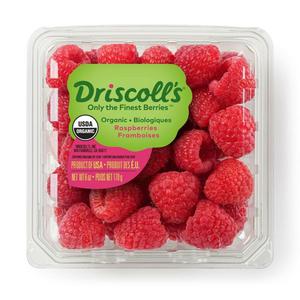 Driscoll's Organic Raspberries