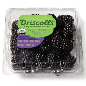 Driscoll's Organic Blackberries