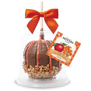 Moyer Gourmet Chocolate Covered Apple