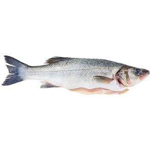 Wegmans EU Organic Whole Bronzini