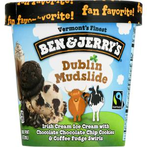 Ben & Jerry's Dublin Mudslide Ice Cream