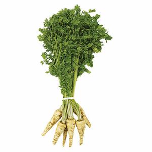 Babe Farms Parsley Root