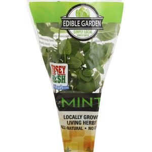 Edible Gardens Organic Living Potted Mint