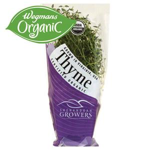 Shenandoah Growers Organic Living Potted Thyme