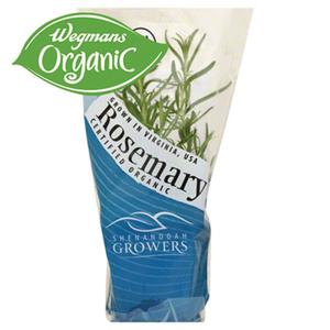 Shenandoah Growers Organic Living Potted Rosemary